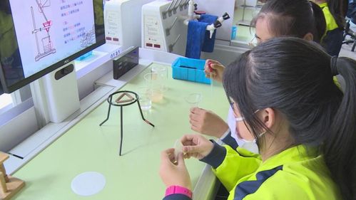 長白山 菜單式課后服務(wù)賦能“雙減”落地，教育咨詢精準(zhǔn)護(hù)航