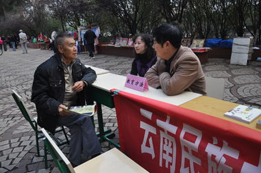 黨員服務進社區，教育咨詢暖人心——記云南民族中學黨員教育咨詢服務活動